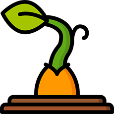 Réalisation des travaux