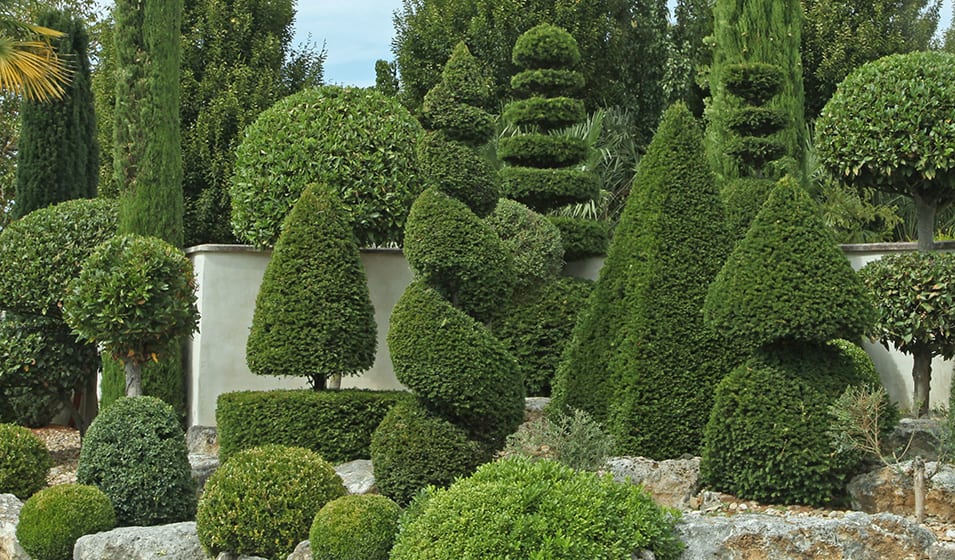Réalisation paysagiste dans le Var 3